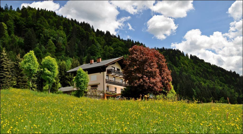 Hotel Enzianbrenner Jenig Exteriér fotografie